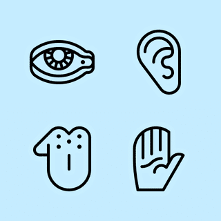 human-body-icons-senses-2015